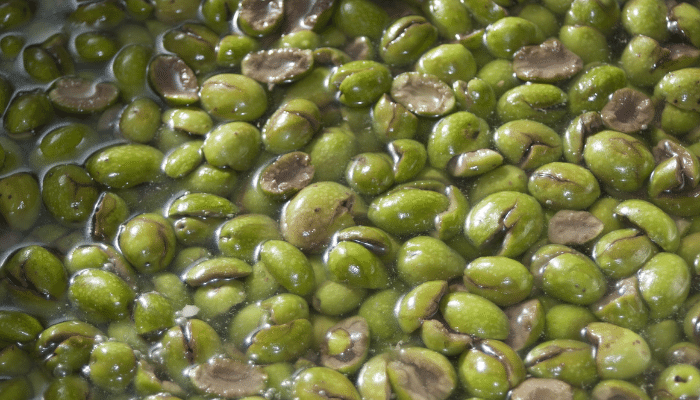 Kırma Yeşil Zeytin